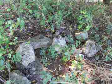 Zbytky betonu v křoví u Bakovského potoka